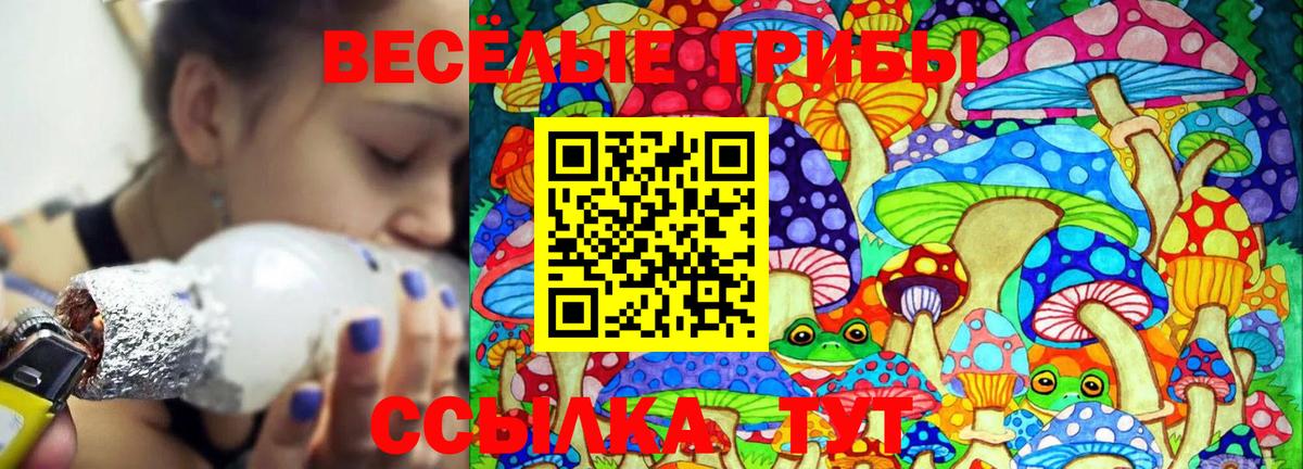 Галлюциногенные грибы Magic Shrooms Горно-Алтайск