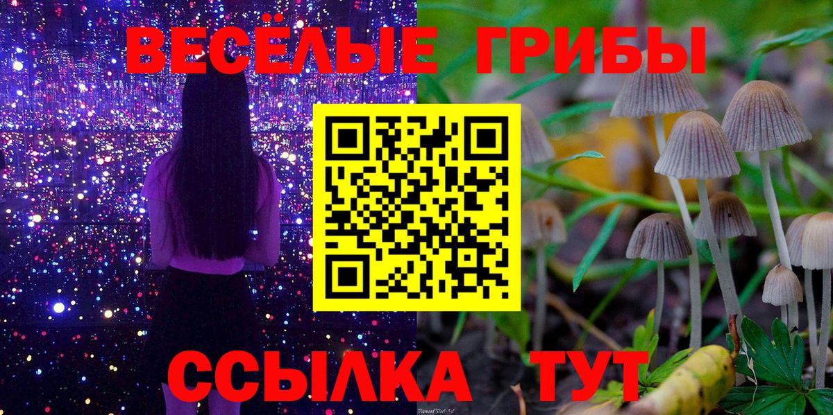 Горно-Алтайск  купить наркотик  Вход с VPN  Галлюциногенные грибы GOLDEN TEACHER 